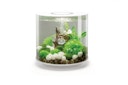 Vorschaubild BiOrb Aquarium TUBE 15 MCR