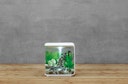 Vorschaubild BiOrb Aquarium FLOW 15 LED