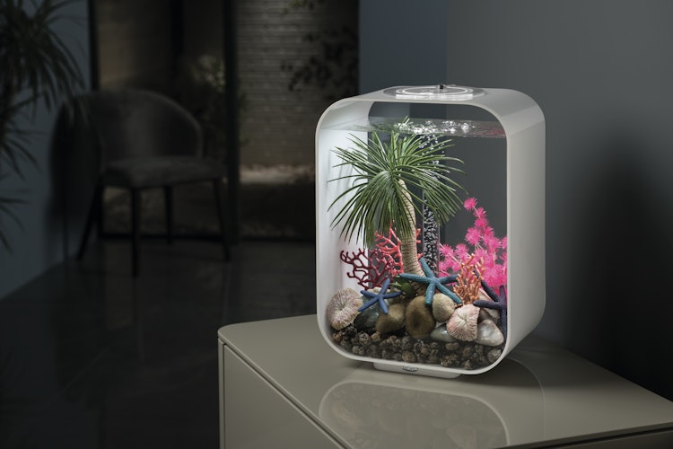 BiOrb Aquarium LIFE 15 MCR