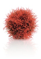 biOrb Gewächsball rot (46063)
