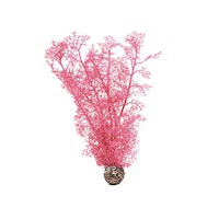 biOrb Hornkoralle mittelgroß pink (46096)