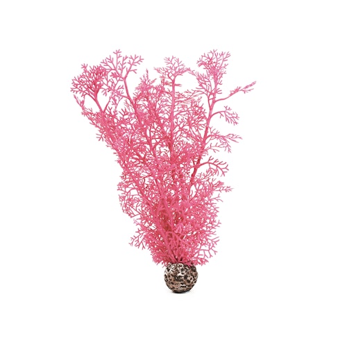 biOrb Hornkoralle mittelgroß pink (46096)