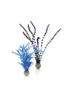 biOrb Pflanzen Set mittel blau & lila (46059)
