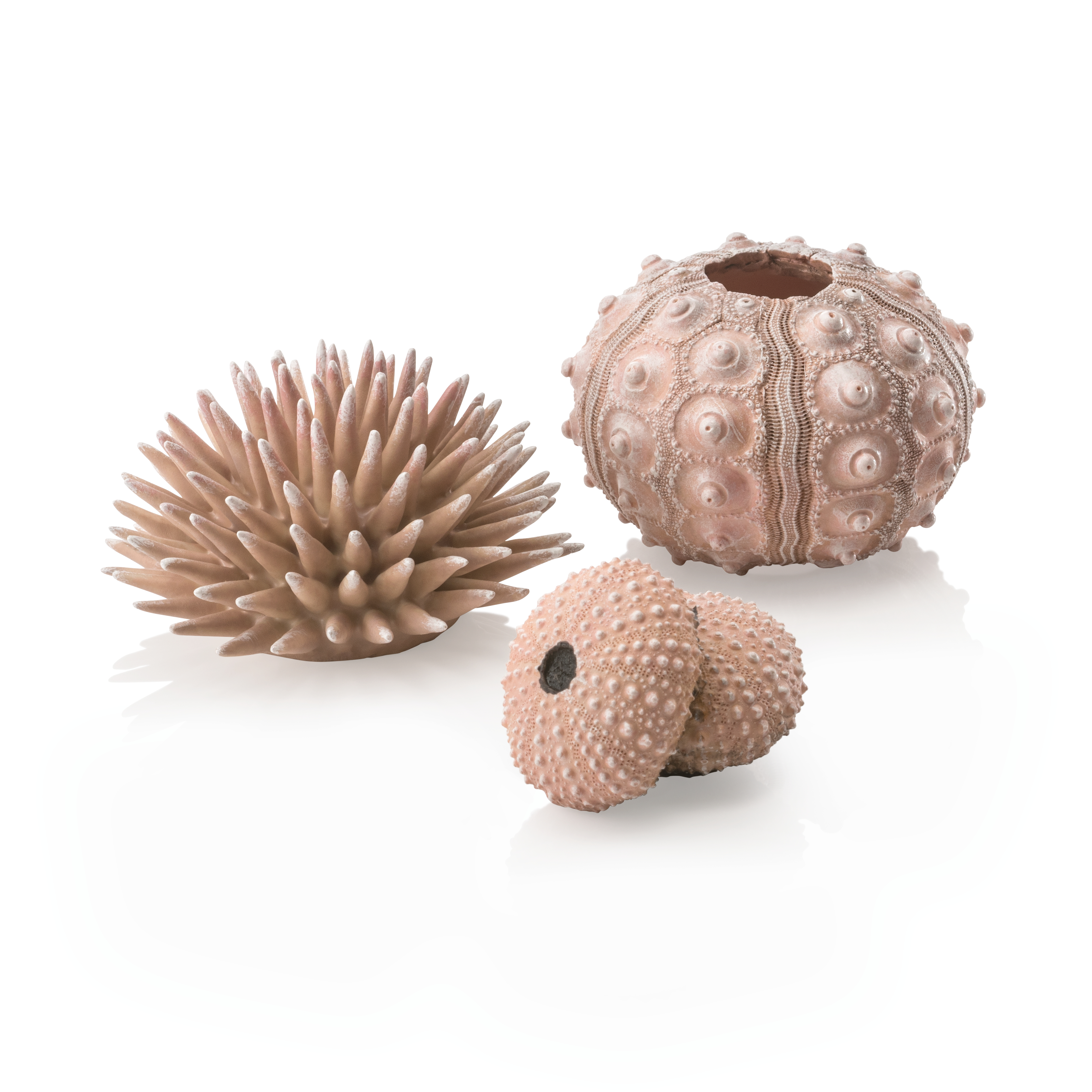 biOrb Seeigel Set natural (48366)