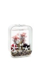 Vorschaubild biOrb Decor Set 15L Red Forest (48442)