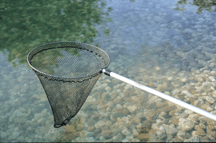 Oase Fischkescher klein