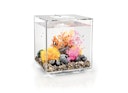 Vorschaubild BiOrb Aquarium CUBE 30 MCR