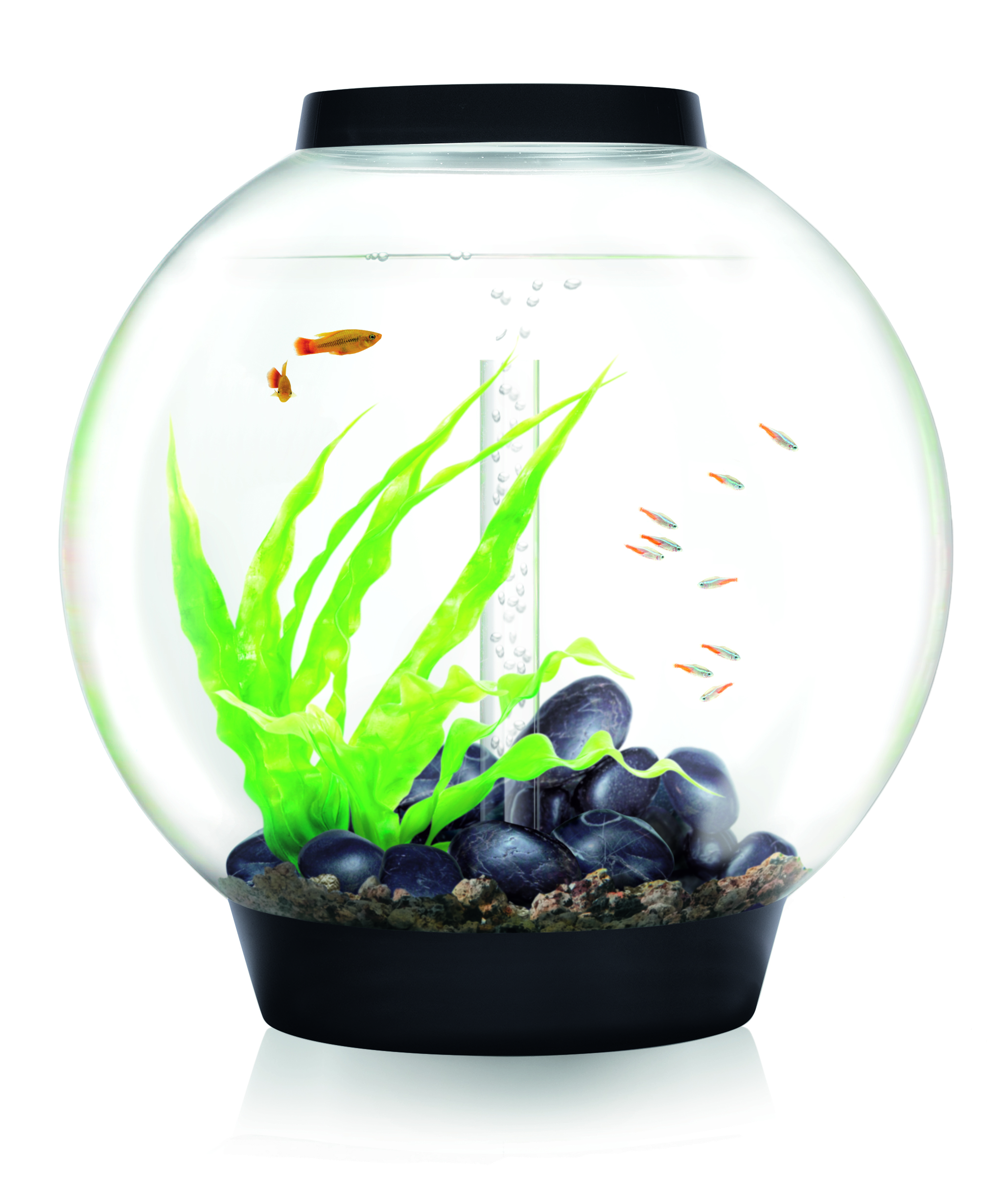 BiOrb Aquarium CLASSIC 60 MCR
