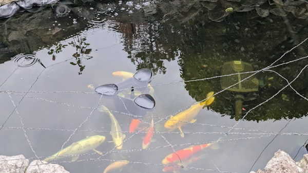 Kundenbild