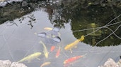Kundenbild
