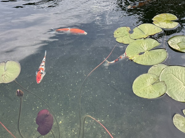 Kundenbild